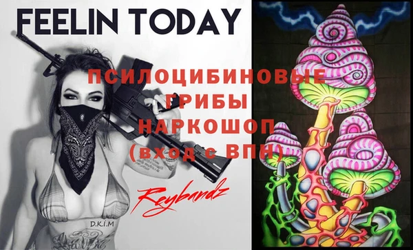 гидра Белоозёрский