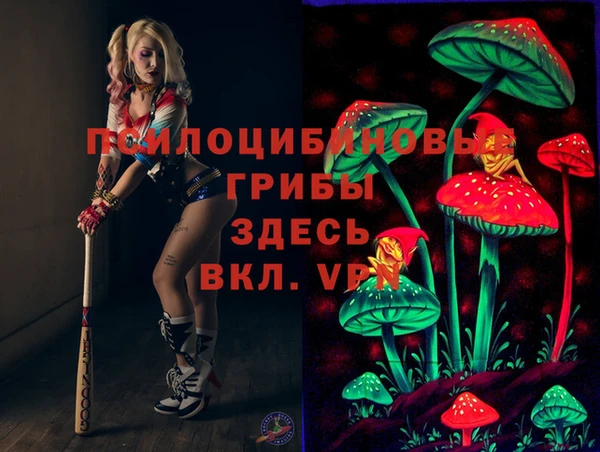 гидра Белоозёрский