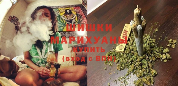 гидра Белоозёрский