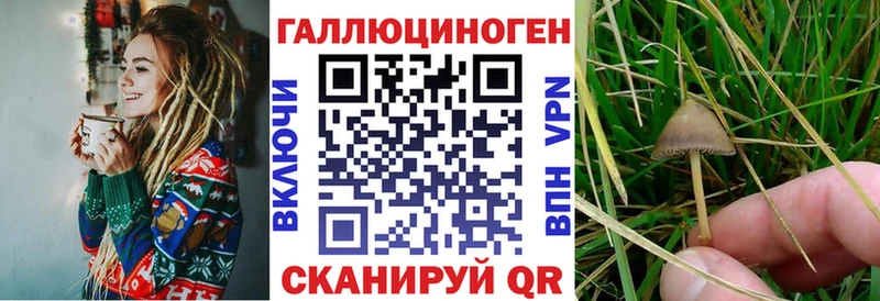 omg как зайти  Альметьевск  Псилоцибиновые грибы MAGIC MUSHROOMS 